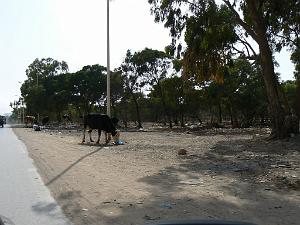 Canastel AUX ALENTOURS 